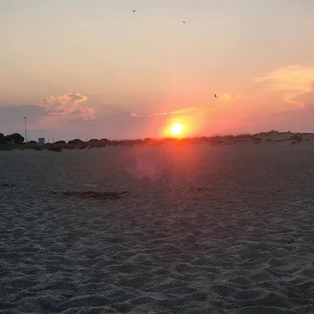 Petit Paradis Du 66,canet Roussillon アパート カネ