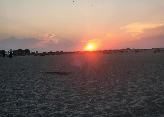 Petit Paradis Du 66,canet Roussillon Lejlighed Canet-en-Roussillon