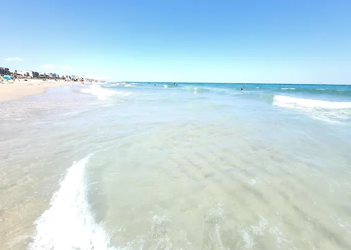 Lejlighed Petit Paradis Du 66,canet Roussillon *